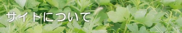 サイトについて